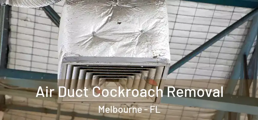 Air Duct Cockroach Removal Melbourne - FL