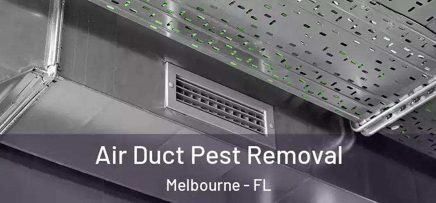 Air Duct Pest Removal Melbourne - FL
