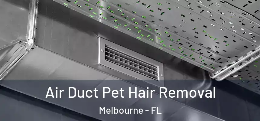 Air Duct Pet Hair Removal Melbourne - FL
