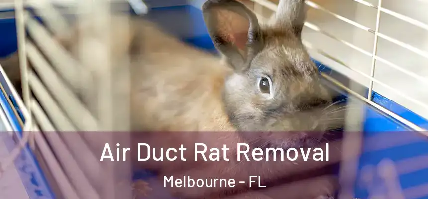 Air Duct Rat Removal Melbourne - FL