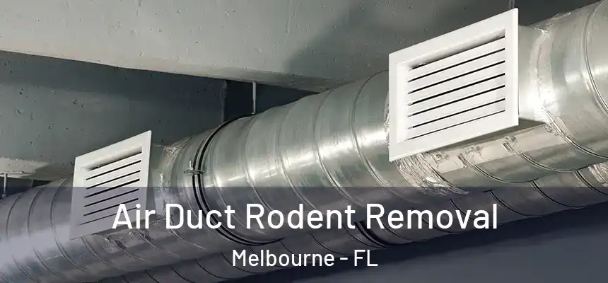 Air Duct Rodent Removal Melbourne - FL