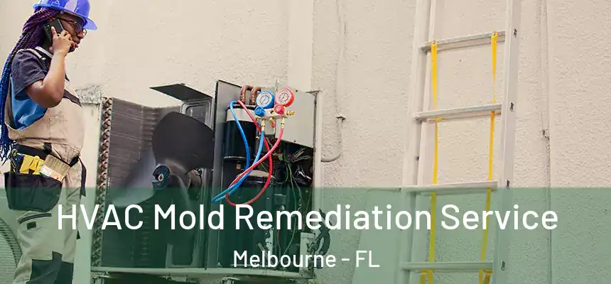 HVAC Mold Remediation Service Melbourne - FL
