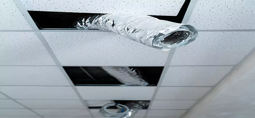 Affordable HVAC Sanitizing After Pest Removal in Melbourne