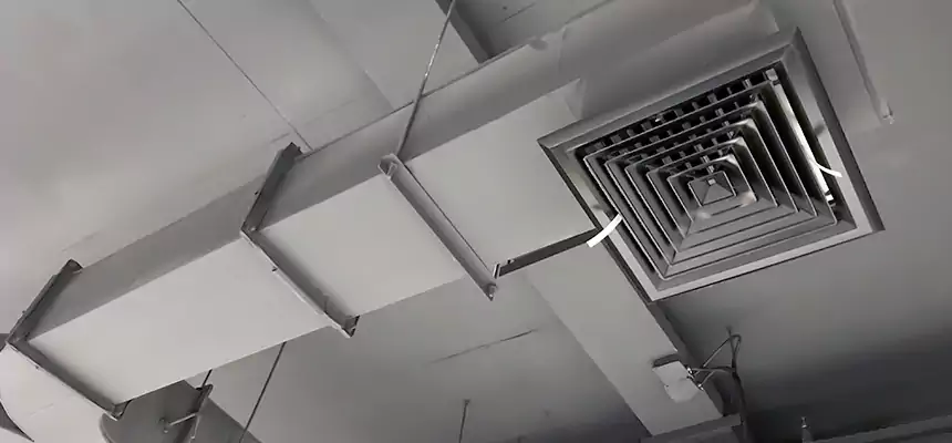 Restorative Allergy Relief Vent Cleaning – Coil, Blower & Housing Detail in Melbourne