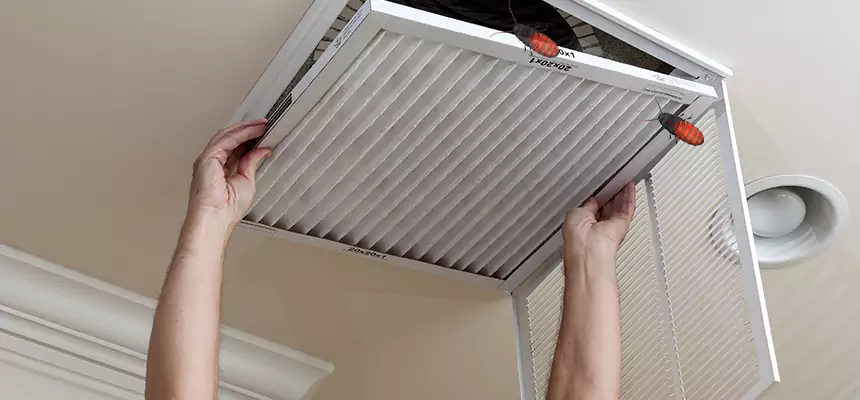 Our Insect Removal from Air Ducts Services in Melbourne, FL
