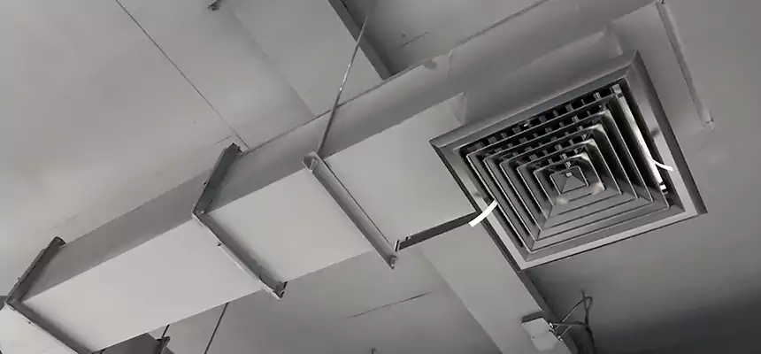 Our Rodent Droppings In Vents Services in Melbourne, FL