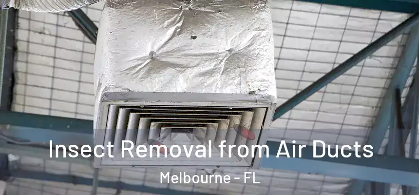 Insect Removal from Air Ducts Melbourne - FL