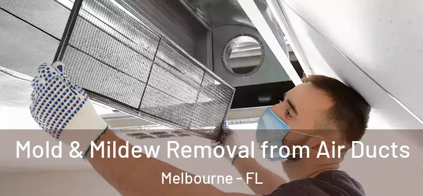 Mold & Mildew Removal from Air Ducts Melbourne - FL