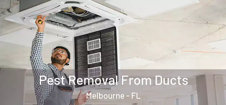 Pest Removal From Ducts Melbourne - FL