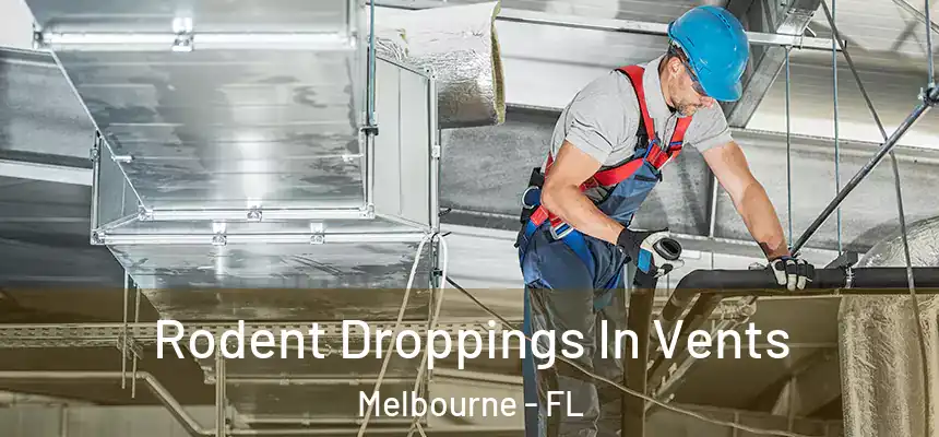 Rodent Droppings In Vents Melbourne - FL