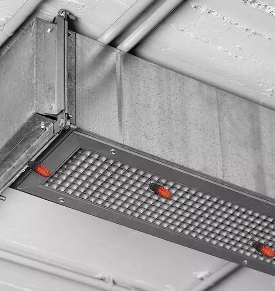 About Air Duct Cockroach Removal in Melbourne, FL