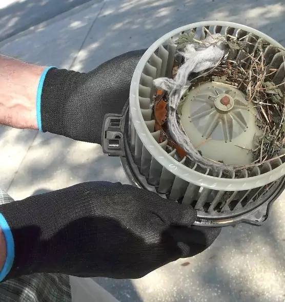 About Air Duct Mice Removal in Melbourne, FL
