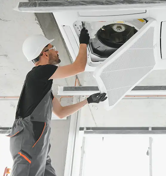 About Air Duct Rodent Removal in Melbourne, FL