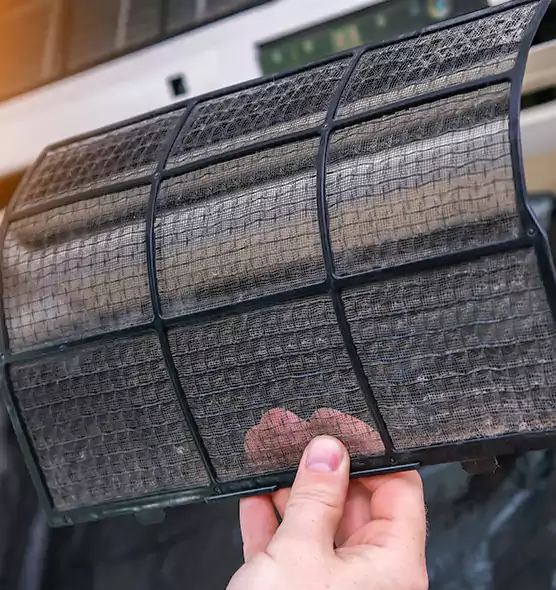 About Pet Dander Duct Cleaning in Melbourne, FL